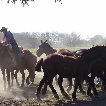 Гостевой дом Estancia Don Silvano Дьего-Гайнор Экстерьер фото