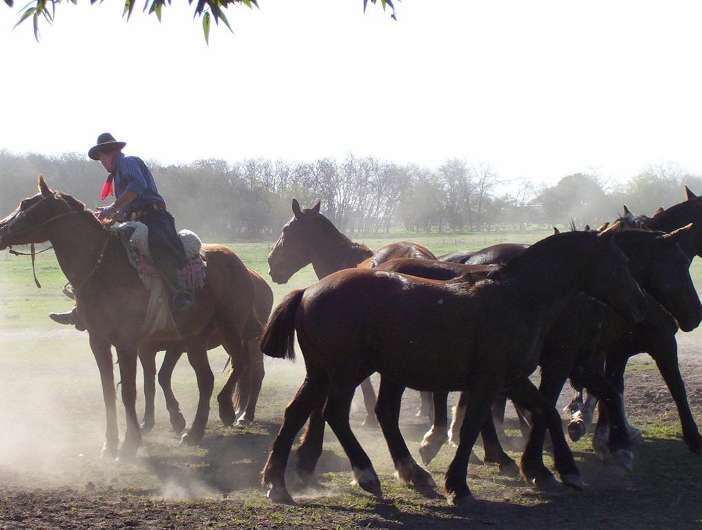 Гостевой дом Estancia Don Silvano Дьего-Гайнор Экстерьер фото