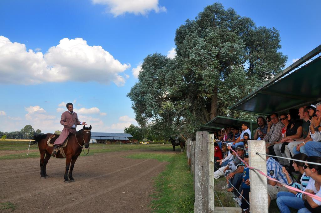 Гостевой дом Estancia Don Silvano Дьего-Гайнор Экстерьер фото