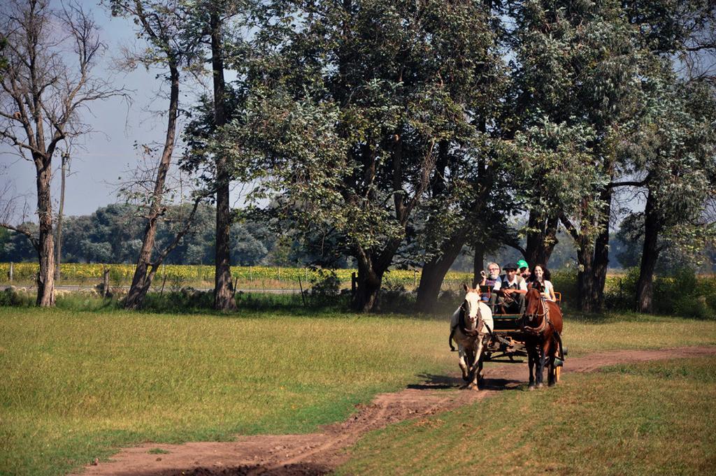 Гостевой дом Estancia Don Silvano Дьего-Гайнор Экстерьер фото
