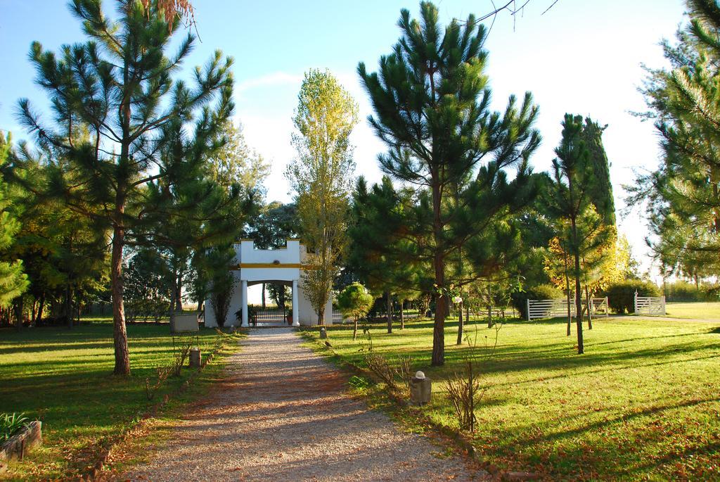 Гостевой дом Estancia Don Silvano Дьего-Гайнор Экстерьер фото